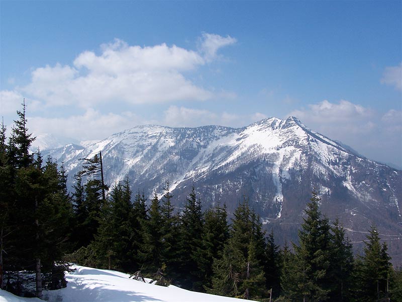 Scheiblingstein